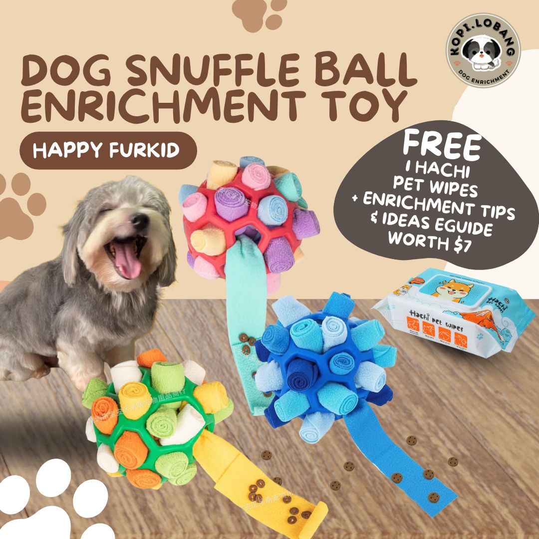 ✅[SG] DOG SNUFFLE BALL ENRICHMENT TOY ★ FREE Recall Training e-Guide Worth $7 ★ For Do