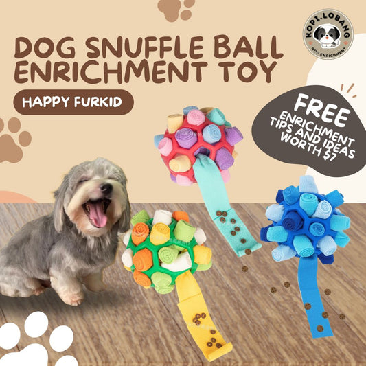 ✅[SG] DOG SNUFFLE BALL ENRICHMENT TOY ★ FREE Recall Training e-Guide Worth $7 ★ For Do