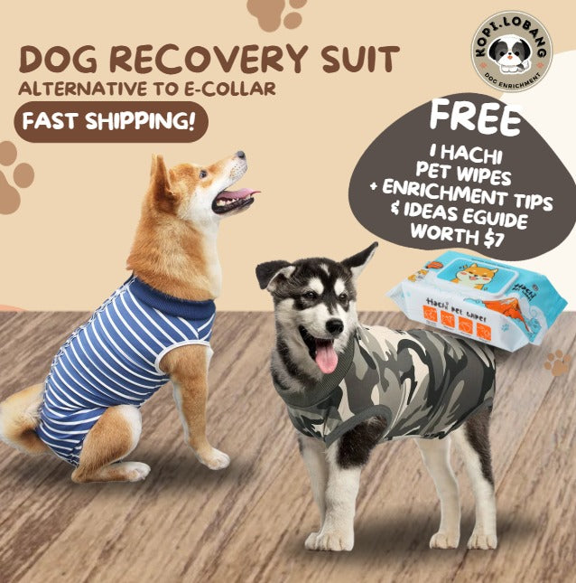 ✅[SG] Pet Recovery Suit for Dogs & Cats – Comfortable E-Collar Alternative