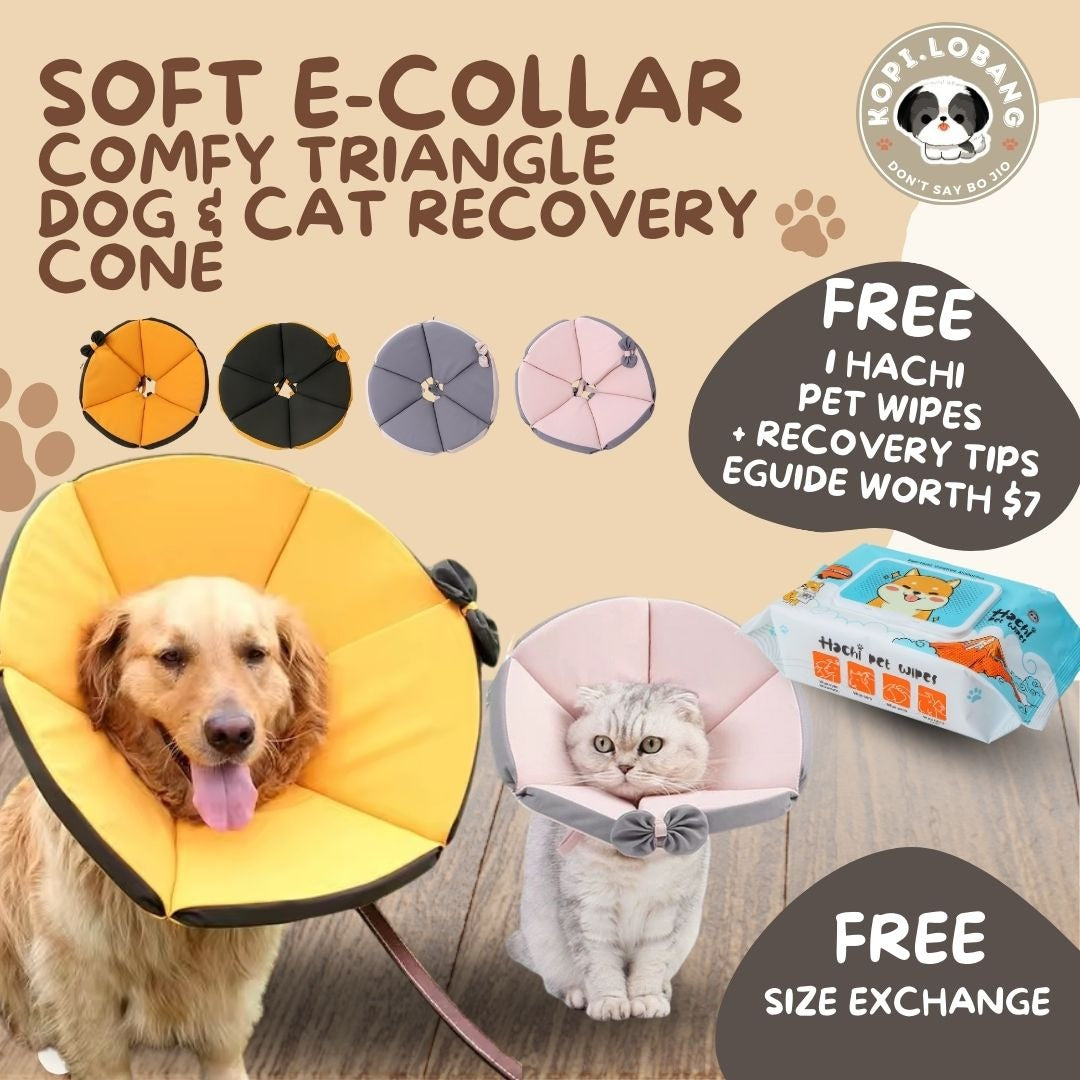 ✅[SG] [FAST] SOFT E-COLLAR COMFY TRIANGLE DOG & CAT RECOVERY CONE ★ FREE e-Guide on 5 Important Tips for Fast Pet Recovery ★