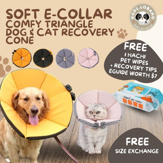 ✅[SG] [FAST] SOFT E-COLLAR COMFY TRIANGLE DOG & CAT RECOVERY CONE ★ FREE e-Guide on 5 Important Tips for Fast Pet Recovery ★