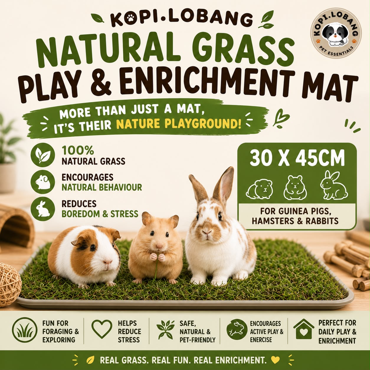✅[SG] REAL Natural Grass Enrichment Mat for Rabbits, Guinea Pigs & Hamsters | Real Grass Play Mat | 30 × 45cm