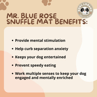 ✅[SG] MR. BLUE ROSE SNUFFLE MAT ★ Nosework Training ★ FREE Enrichment Tips & Ideas e-Guide Worth $7 ★ Pet Enrichment ★ SG Stock ★ Kopi Lobang