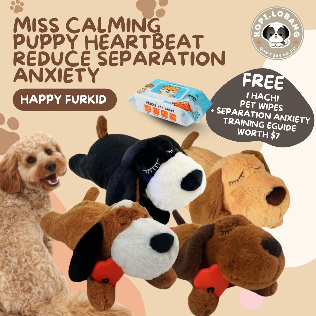 ✅[SG] Miss Calming Puppy Heartbeat - Reduce Dog Separation Anxiety ★ FREE Separation Anxiety Training eGuide Worth $7 ★
