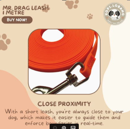 ✅[SG] Mr. Drag Leash 1 Meter For Better Control At Home ★ FREE Enrichment Tips & Ideas e-Guide Worth $7 ★ Enrichment ★ SG Stock ★ Kopi Lobang