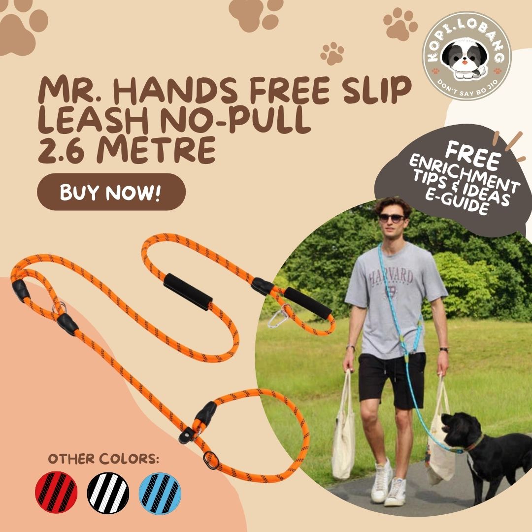 Dog Leash Kopi.Lobang Dog Enrichment