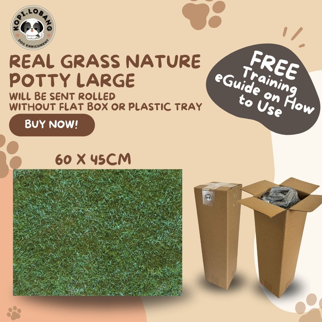 ✅[SG] 3 MONTHS (6 DELIVERIES) REAL GRASS NATURE POTTY ★ FREE Training e-Guide Worth $7 ★ SG Stock ★ Kopi Lobang ★ The First Pet Potty Real Grass in Singapore ★ Perfect for Gift