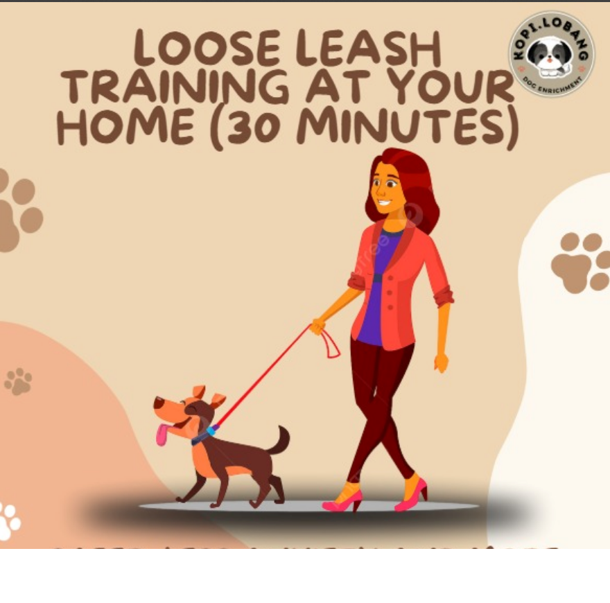 ✅[SG] Mr. Drag Leash 1 Meter For Better Control At Home ★ FREE Enrichment Tips & Ideas e-Guide Worth $7 ★ Enrichment ★ SG Stock ★ Kopi Lobang