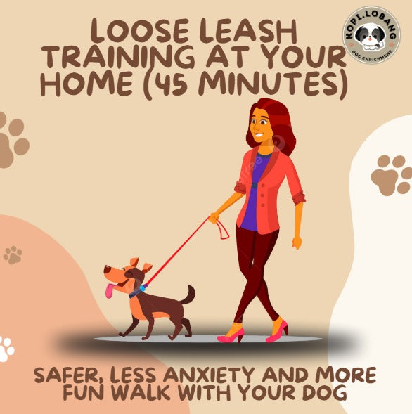 ✅[SG] Mr. Drag Leash 1 Meter For Better Control At Home ★ FREE Enrichment Tips & Ideas e-Guide Worth $7 ★ Enrichment ★ SG Stock ★ Kopi Lobang
