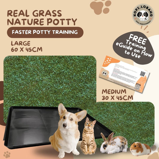 ✅[SG] REAL GRASS NATURE POTTY ★ FREE Training e-Guide  Worth $7 ★ SG Stock ★ Kopi Lobang ★ The First Pet Potty Real Grass in Singapore ★ Perfect for Gift