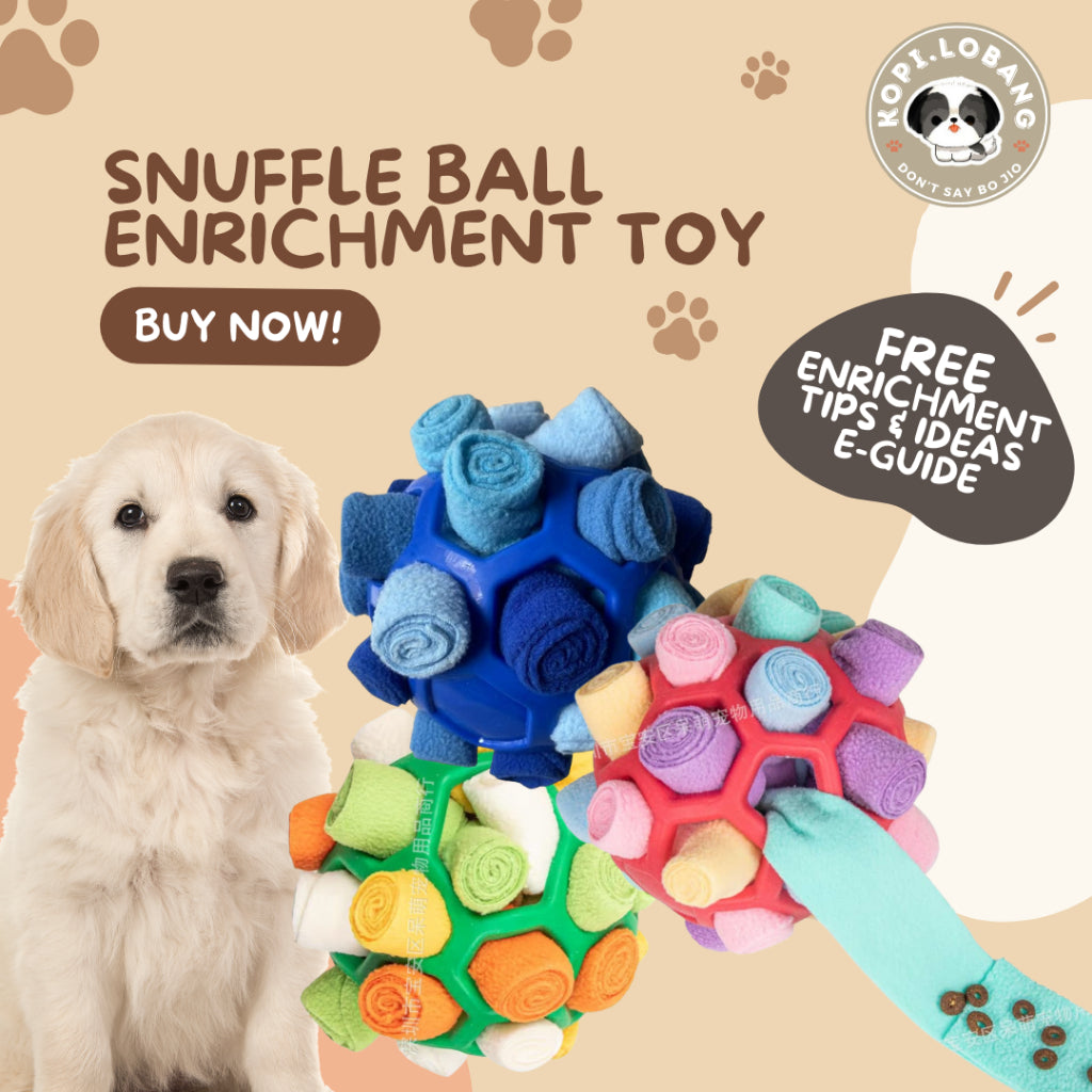 ✅[SG] DOG SNUFFLE BALL ENRICHMENT TOY ★ FREE Recall Training e-Guide Worth $7 ★ For Do