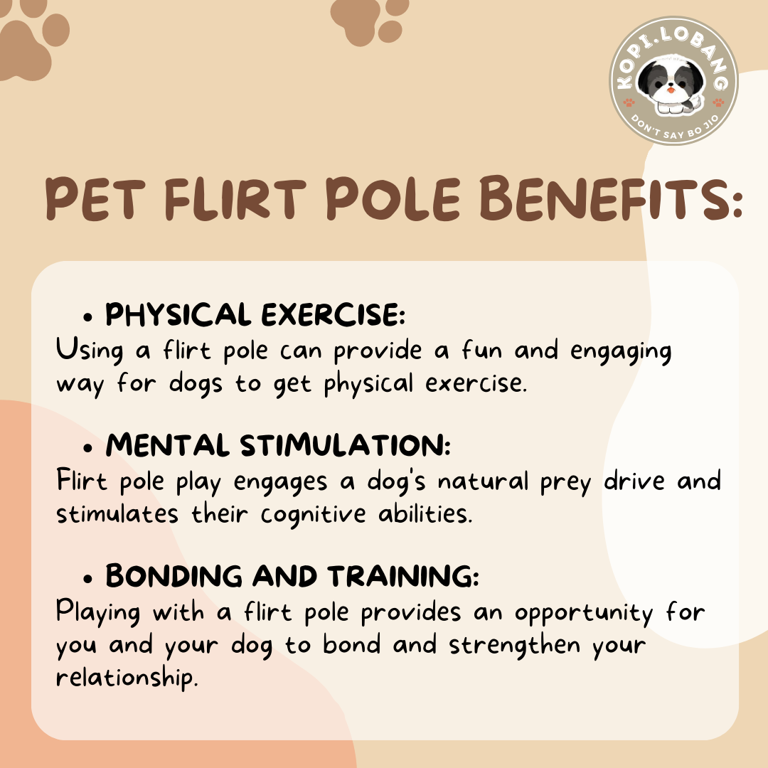 ✅[SG] DOG FLIRT POLE ★ Agility Training ★ FREE Enrichment Toy Tips and Ideas e-Guide Worth $7 ★ SG Stock ★ Perfect for Gift