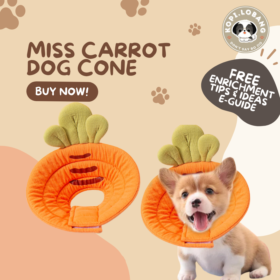 ✅[SG] [FAST SHIPPING] PET CONE COLLAR RECOVERY For Dog Cat ★ FREE Enrichment Tips & Ideas e-Guide  Worth $7  ★ SG Stock ★ Kopi.Lobang