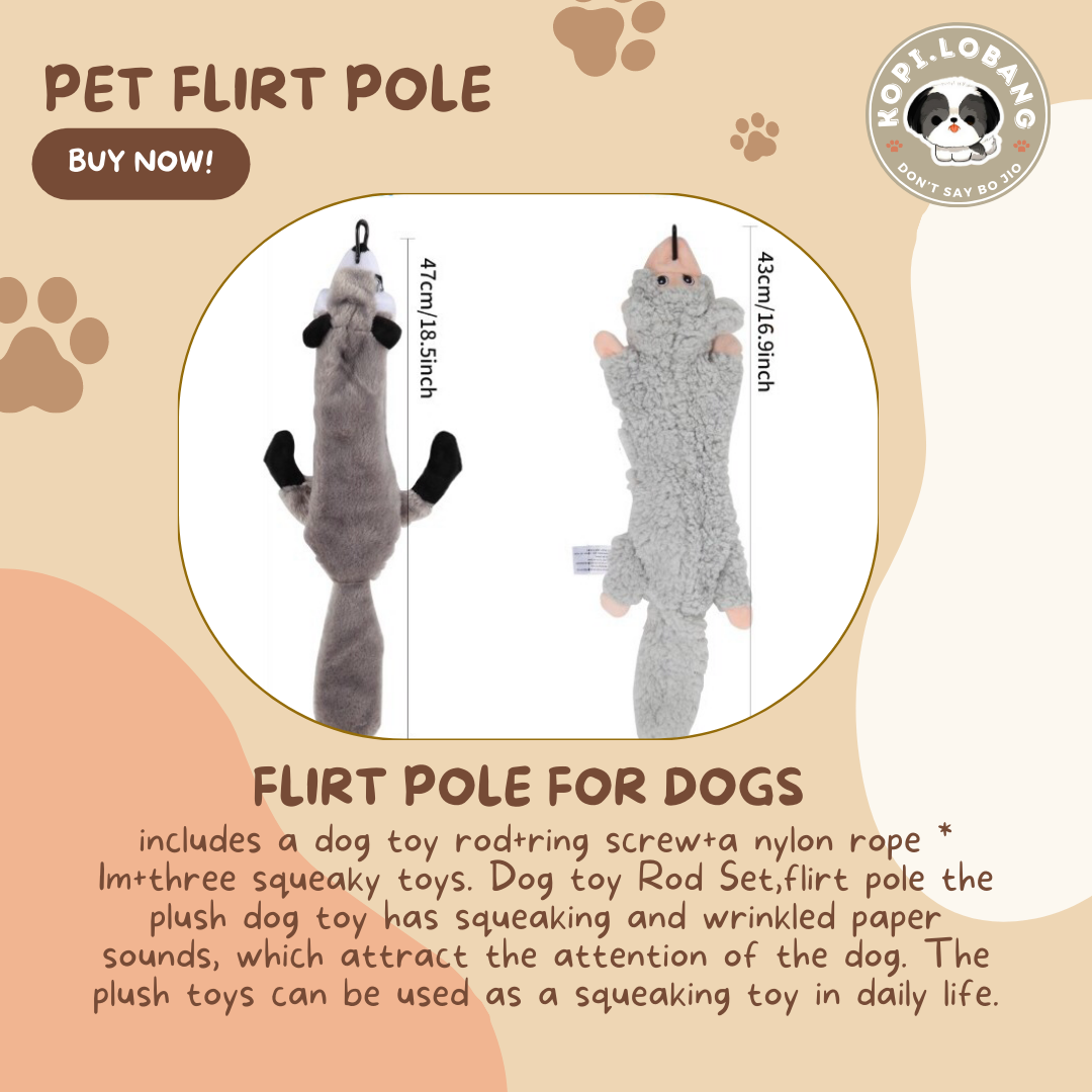 ✅[SG] DOG FLIRT POLE ★ Agility Training ★ FREE Enrichment Toy Tips and Ideas e-Guide Worth $7 ★ SG Stock ★ Perfect for Gift