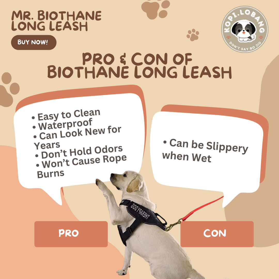 ✅[SG] MR. BIOTHANE LONG LEASH Waterproof 5 Metre & 10 Metre ★ Encourage Foraging Skills Training ★ FREE Recall Training e-Guide Worth $7 ★ For Dog Cat