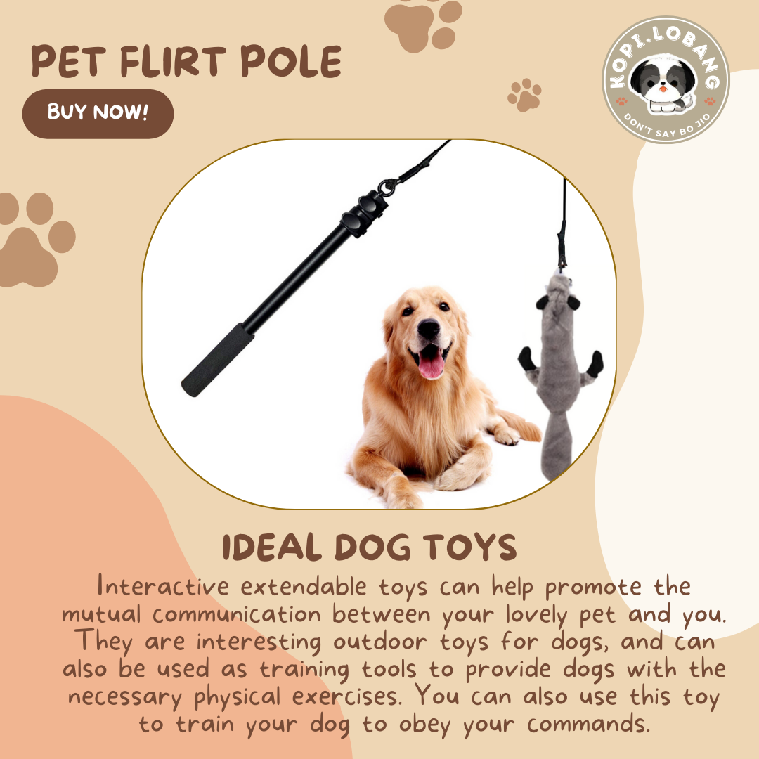 ✅[SG] DOG FLIRT POLE ★ Agility Training ★ FREE Enrichment Toy Tips and Ideas e-Guide Worth $7 ★ SG Stock ★ Perfect for Gift