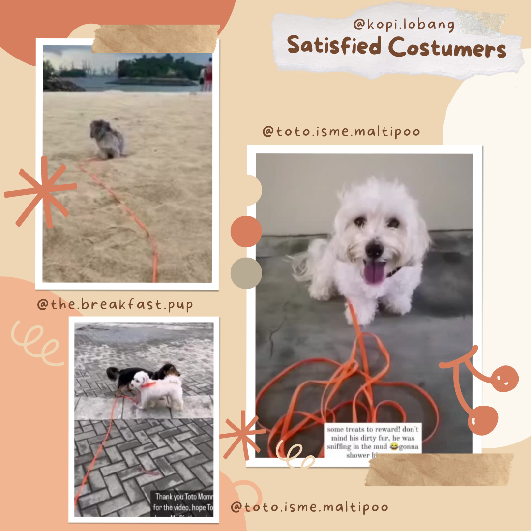 ✅[SG] MR. BIOTHANE LONG LEASH Waterproof 5 Metre & 10 Metre ★ Encourage Foraging Skills Training ★ FREE Recall Training e-Guide Worth $7 ★ For Dog Cat