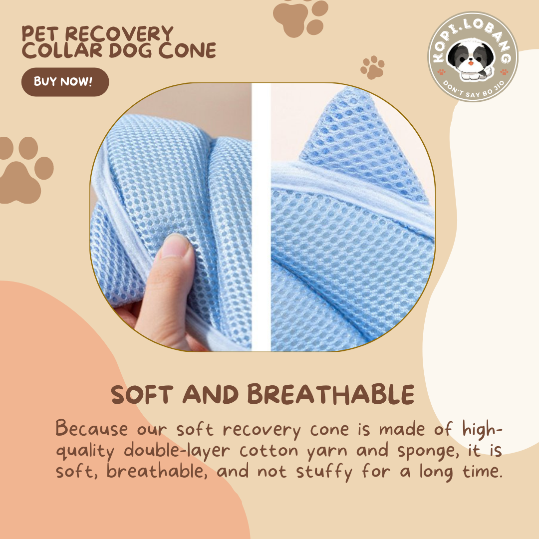 ✅[SG] [FAST SHIPPING] PET CONE COLLAR RECOVERY For Dog Cat ★ FREE Enrichment Tips & Ideas e-Guide  Worth $7  ★ SG Stock ★ Kopi.Lobang