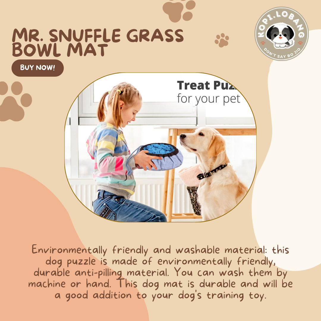 ✅[SG] MR. SNUFFLE GRASS BOWL MAT ★ Nosework Training ★ FREE Enrichment Tips & Ideas e-Guide  Worth $7  ★ Enrichment ★ SG Stock ★ Kopi Lobang