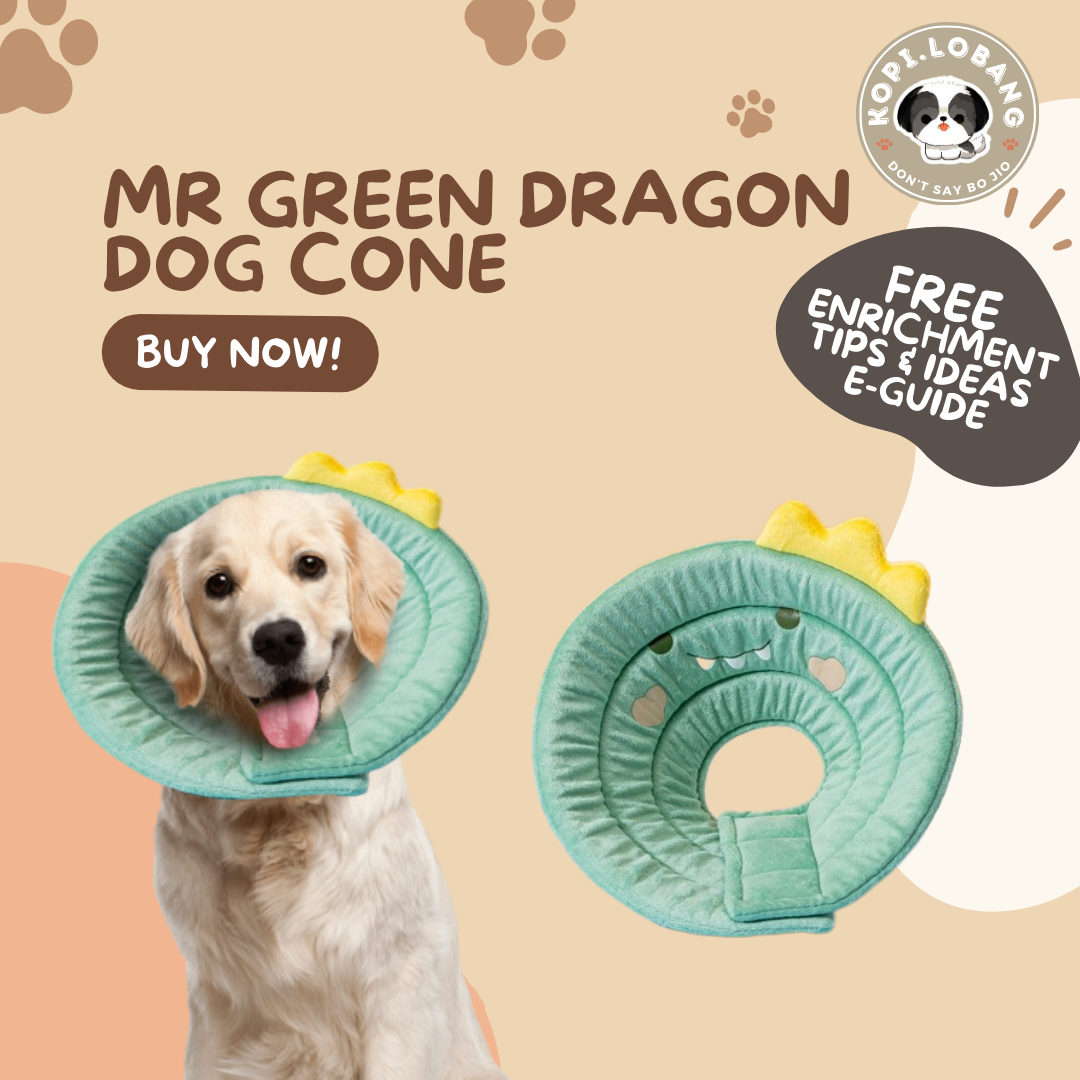 ✅[SG] [FAST SHIPPING] PET CONE COLLAR RECOVERY For Dog Cat ★ FREE Enrichment Tips & Ideas e-Guide  Worth $7  ★ SG Stock ★ Kopi.Lobang