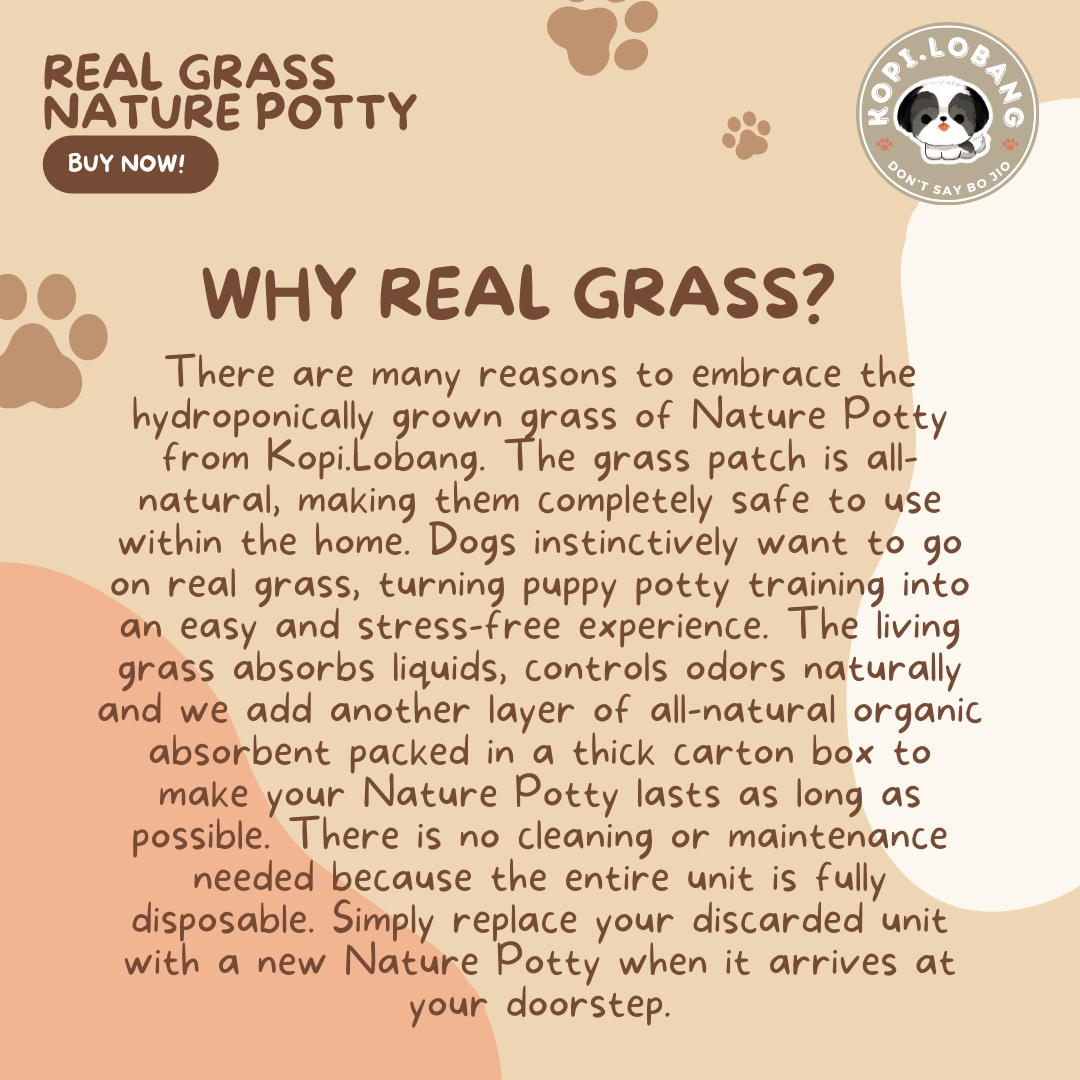 ✅[SG] 6 MONTHS (12 DELIVERIES) REAL GRASS NATURE POTTY ★ FREE Training e-Guide Worth $7 ★ SG Stock ★ Kopi Lobang ★ Perfect for Gift