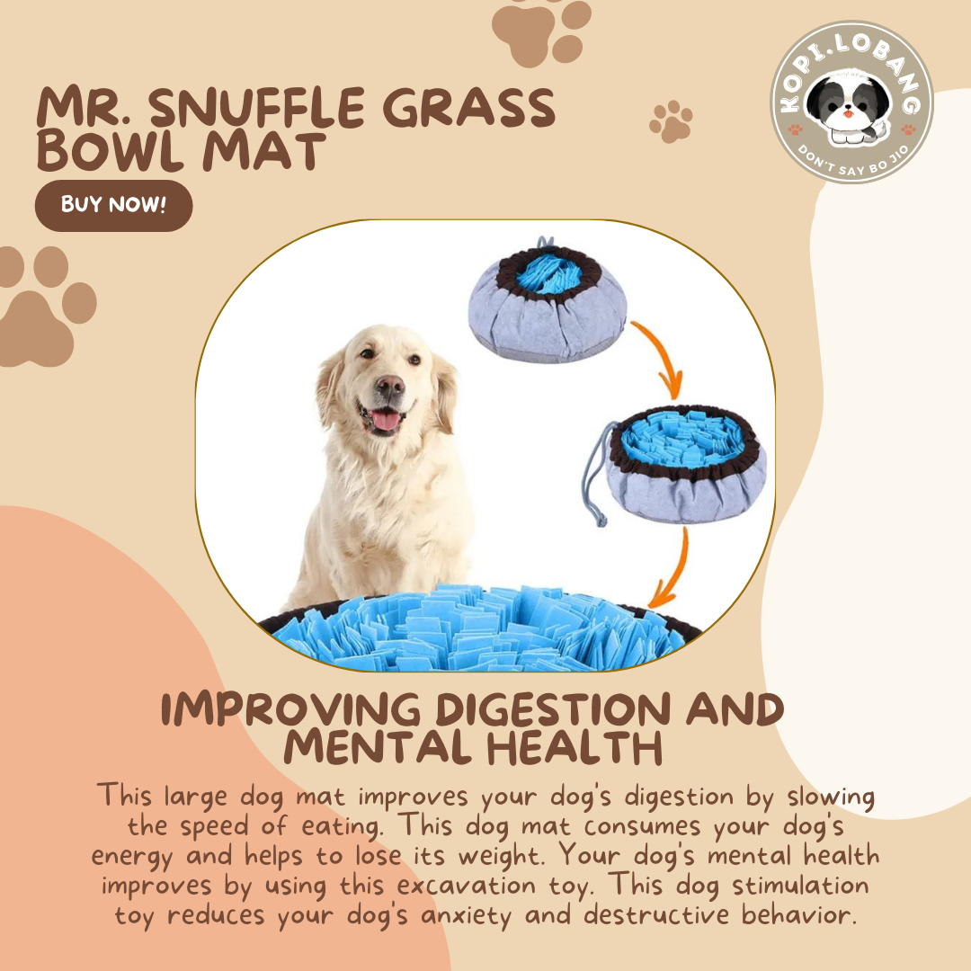 ✅[SG] MR. SNUFFLE GRASS BOWL MAT ★ Nosework Training ★ FREE Enrichment Tips & Ideas e-Guide  Worth $7  ★ Enrichment ★ SG Stock ★ Kopi Lobang