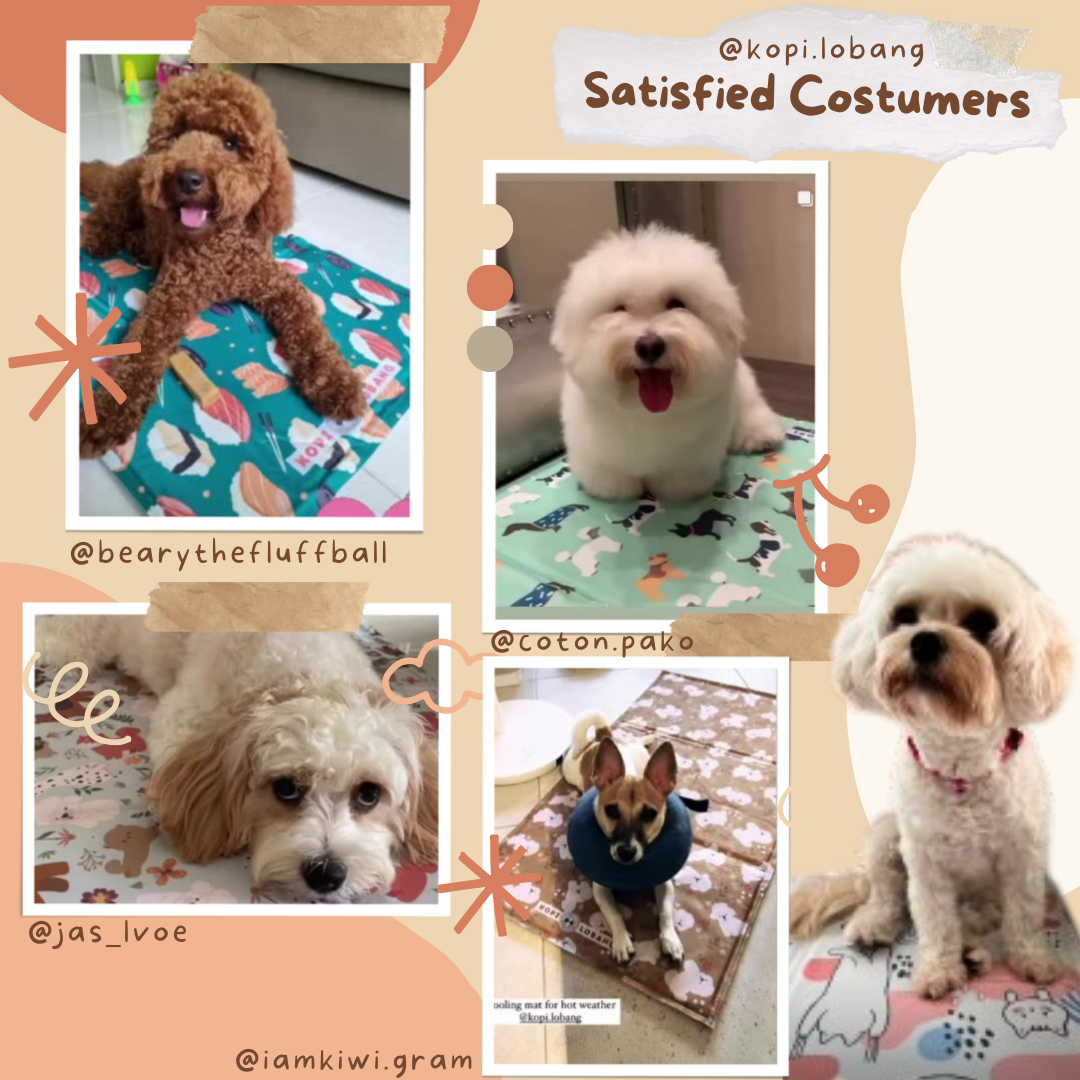 ✅[SG] Reversible Pet Cooling Mat / Pad For Dogs and Cats ★ FREE "Place" Training e-Guide  Worth $7 ★ Unique Design ★ SG Stock ★ For Dogs and Cats ★ Perfect for Gift