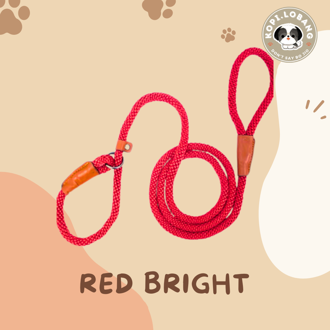 ✅[SG] MR. SLIP LEASH NO-PULL 5 Feet ★ Loose Leash Walking & Training ★ FREE Loose Leash Walking e-Guide Worth $7 ★ SG Stock ★ Kopi Lobang