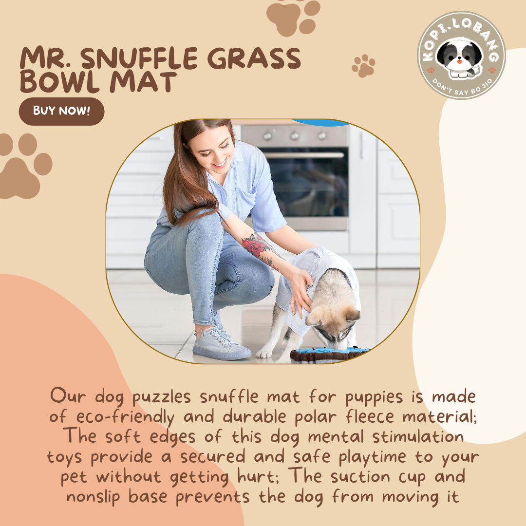 ✅[SG] MR. SNUFFLE GRASS BOWL MAT ★ Nosework Training ★ FREE Enrichment Tips & Ideas e-Guide  Worth $7  ★ Enrichment ★ SG Stock ★ Kopi Lobang