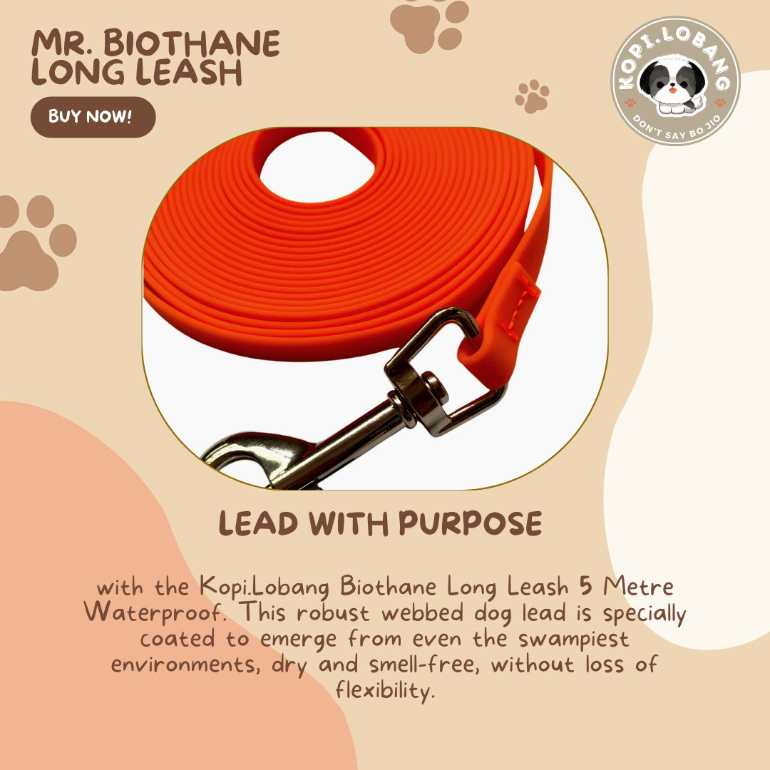 ✅[SG] MR. BIOTHANE LONG LEASH Waterproof 5 Metre & 10 Metre ★ Encourage Foraging Skills Training ★ FREE Recall Training e-Guide Worth $7 ★ For Dog Cat