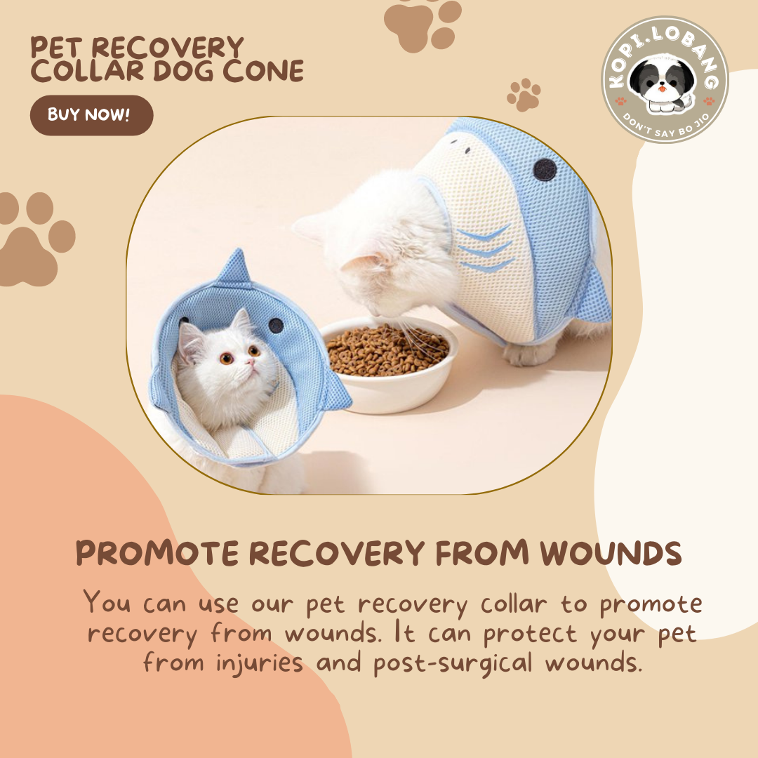 ✅[SG] [FAST SHIPPING] PET CONE COLLAR RECOVERY For Dog Cat ★ FREE Enrichment Tips & Ideas e-Guide  Worth $7  ★ SG Stock ★ Kopi.Lobang