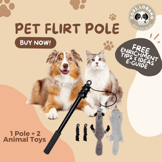 ✅[SG] DOG FLIRT POLE ★ Agility Training ★ FREE Enrichment Toy Tips and Ideas e-Guide Worth $7 ★ SG Stock ★ Perfect for Gift