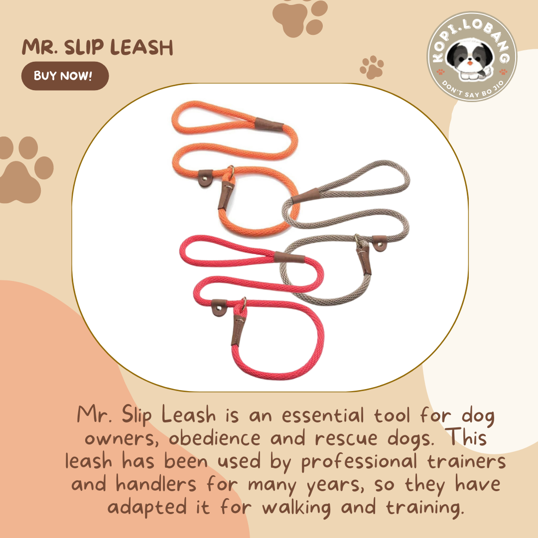 ✅[SG] MR. SLIP LEASH NO-PULL 5 Feet ★ Loose Leash Walking & Training ★ FREE Loose Leash Walking e-Guide Worth $7 ★ SG Stock ★ Kopi Lobang