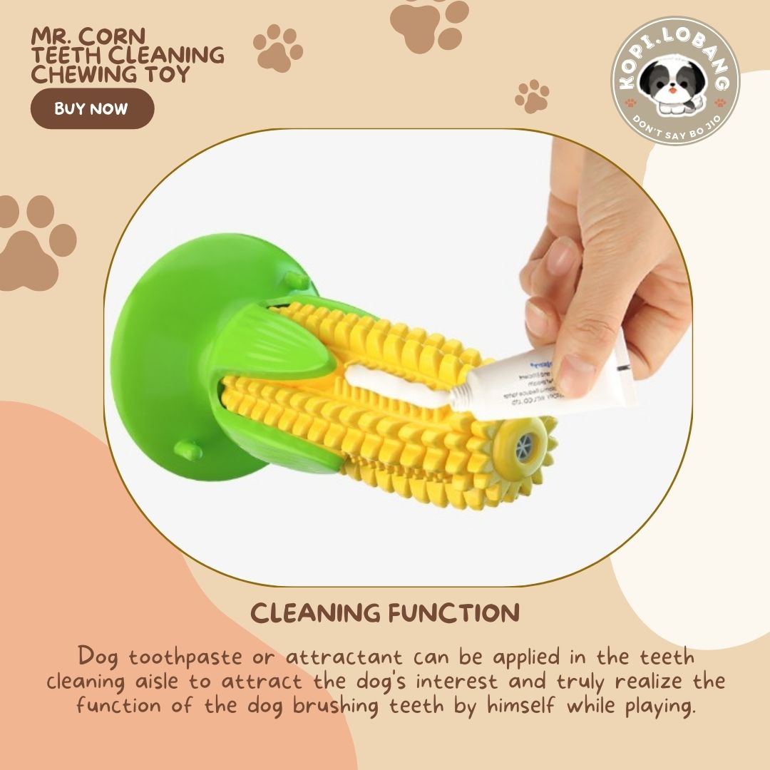 ✅[SG] MR. CORN TEETH CLEANING CHEWING TOY ★ Dental Hygiene Training ★ FREE Enrichment Tips & Ideas e-Guide Worth $7 ★ Enrichment ★ SG Stock ★ Kopi Lobang