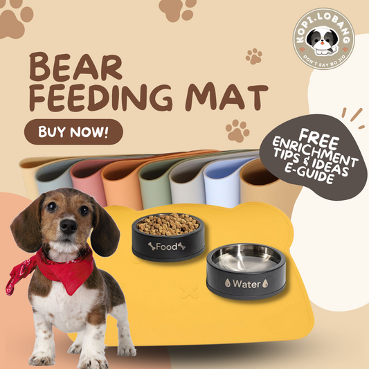 ✅[SG] BEAR PET FEEDING MAT FOR DOGS AND CATS★ FREE Enrichment Tips & Ideas e-Guide Worth $7 ★ Clean & No More Mess  ★ SG Stock ★ Kopi Lobang ★ For Dog Cat ★ Perfect for Gift