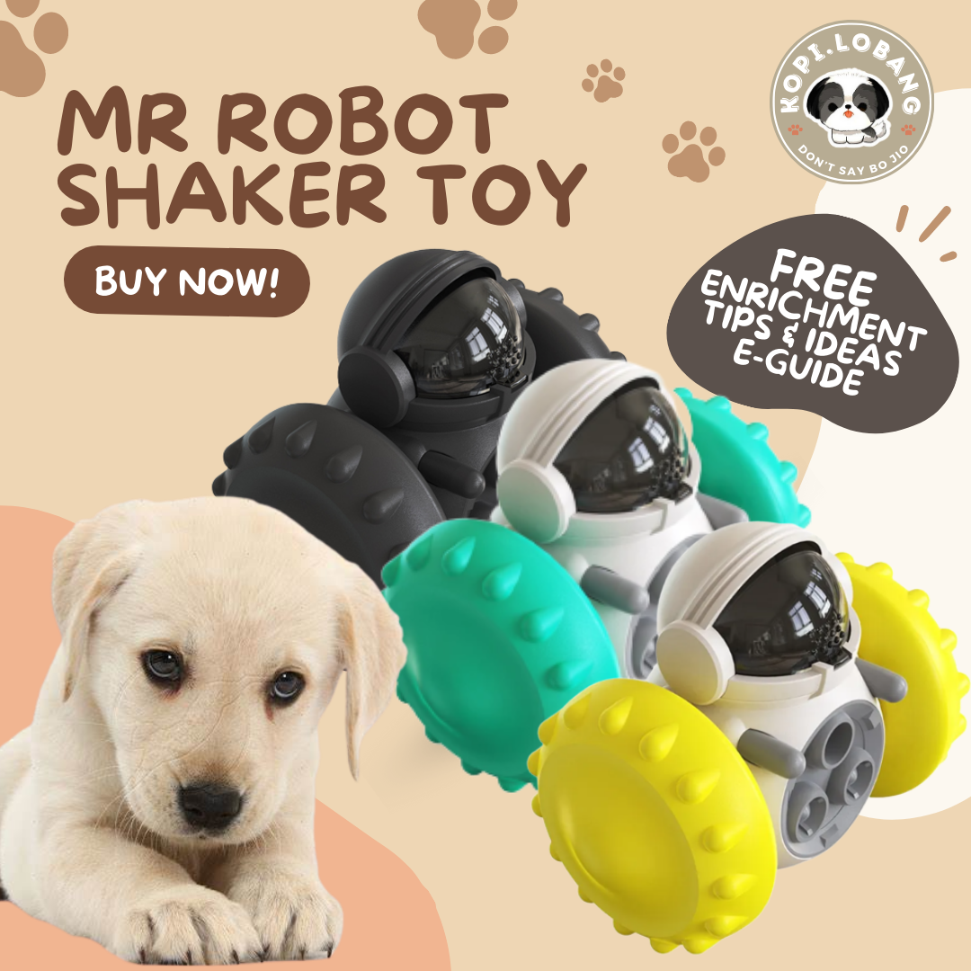 ✅[SG] MR. ROBOT SLOW FEEDER FOOD DISPENSER ★ Behavior Modification Training ★ FREE Enrichment Tips & Ideas e-Guide Worth $7★ Enrichment ★ SG Stock ★ Kopi Lobang