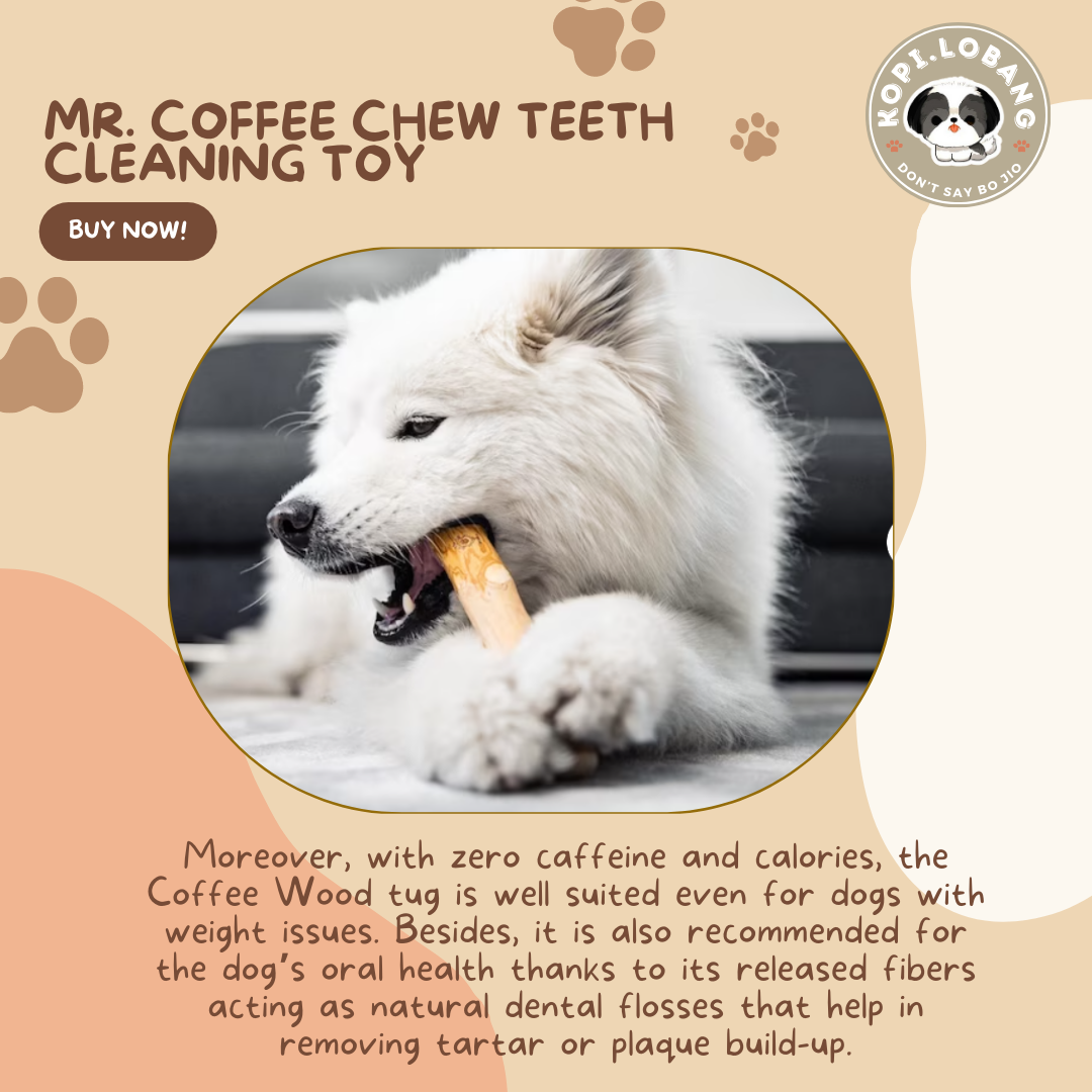 ✅[SG] MR. COFFEE CHEW TEETH CLEANING TOY ★ Dental Hygiene Training ★  FREE Enrichment Tips & Ideas e-Guide Worth $7 ★ Enrichment ★ SG Stock 