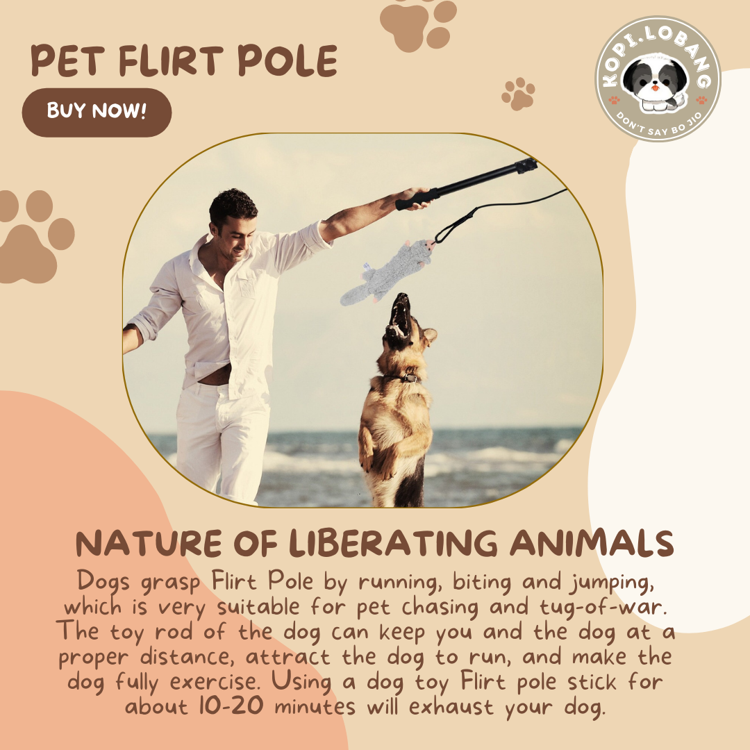 ✅[SG] DOG FLIRT POLE ★ Agility Training ★ FREE Enrichment Toy Tips and Ideas e-Guide Worth $7 ★ SG Stock ★ Perfect for Gift