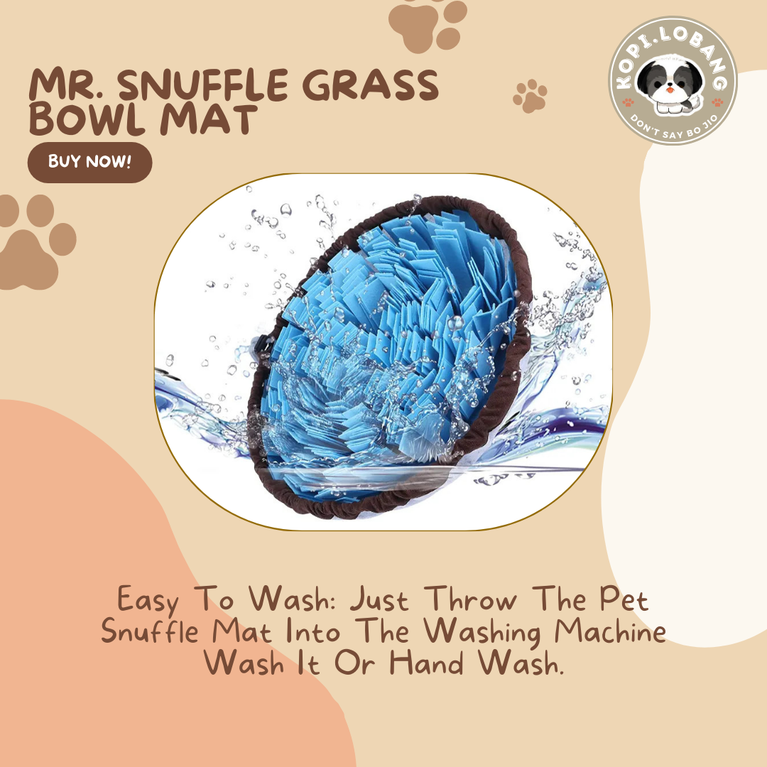 ✅[SG] MR. SNUFFLE GRASS BOWL MAT ★ Nosework Training ★ FREE Enrichment Tips & Ideas e-Guide  Worth $7  ★ Enrichment ★ SG Stock ★ Kopi Lobang