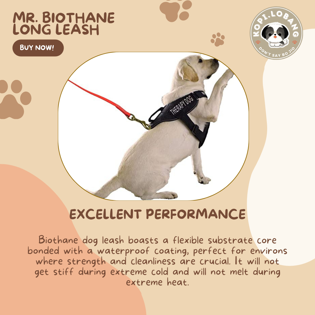 ✅[SG] MR. BIOTHANE LONG LEASH Waterproof 5 Metre & 10 Metre ★ Encourage Foraging Skills Training ★ FREE Recall Training e-Guide Worth $7 ★ For Dog Cat