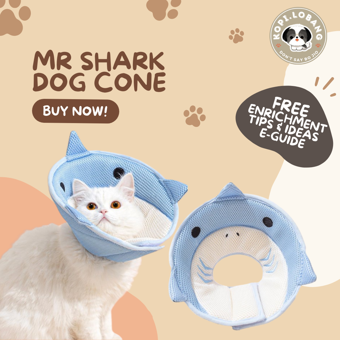 ✅[SG] [FAST SHIPPING] PET CONE COLLAR RECOVERY For Dog Cat ★ FREE Enrichment Tips & Ideas e-Guide  Worth $7  ★ SG Stock ★ Kopi.Lobang