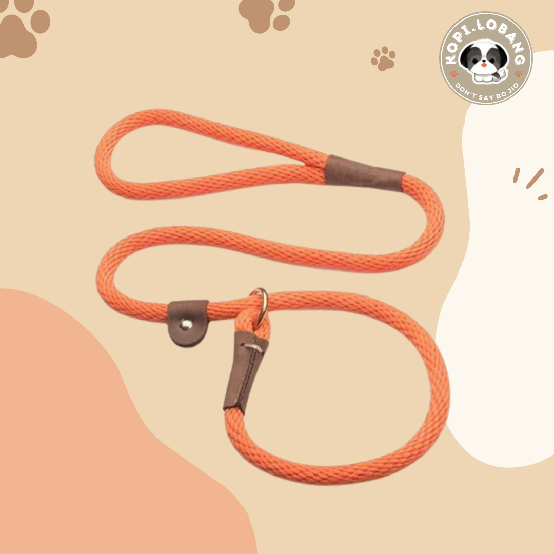 ✅[SG] MR. SLIP LEASH NO-PULL 5 Feet ★ Loose Leash Walking & Training ★ FREE Loose Leash Walking e-Guide Worth $7 ★ SG Stock ★ Kopi Lobang