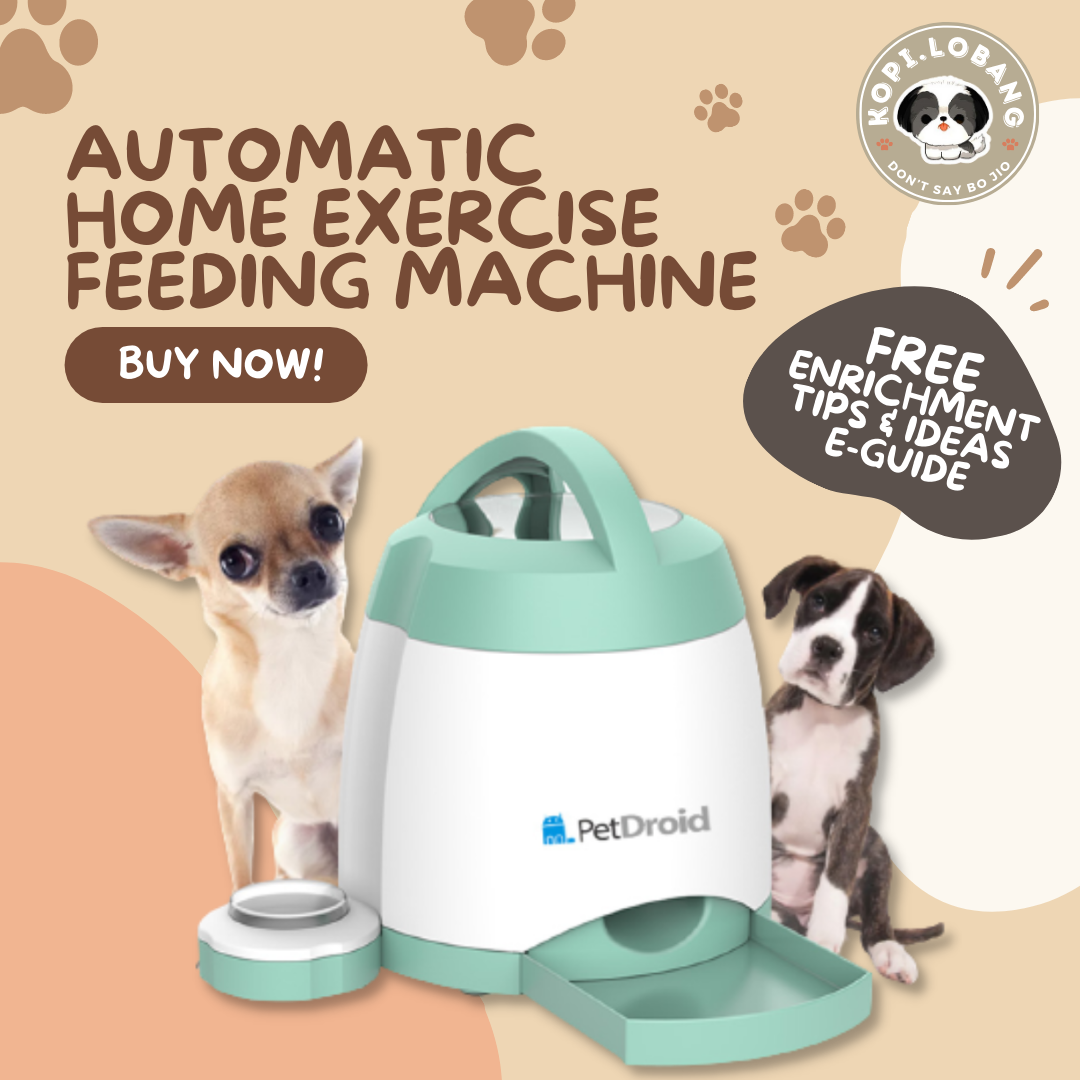 ✅[SG] MISS AUTOMATIC HOME EXERCISE FEEDING MACHINE ★ FREE Enrichment Tips & Ideas e-Guide Worth $7★ Enrichment ★ SG Stock ★ Kopi Lobang