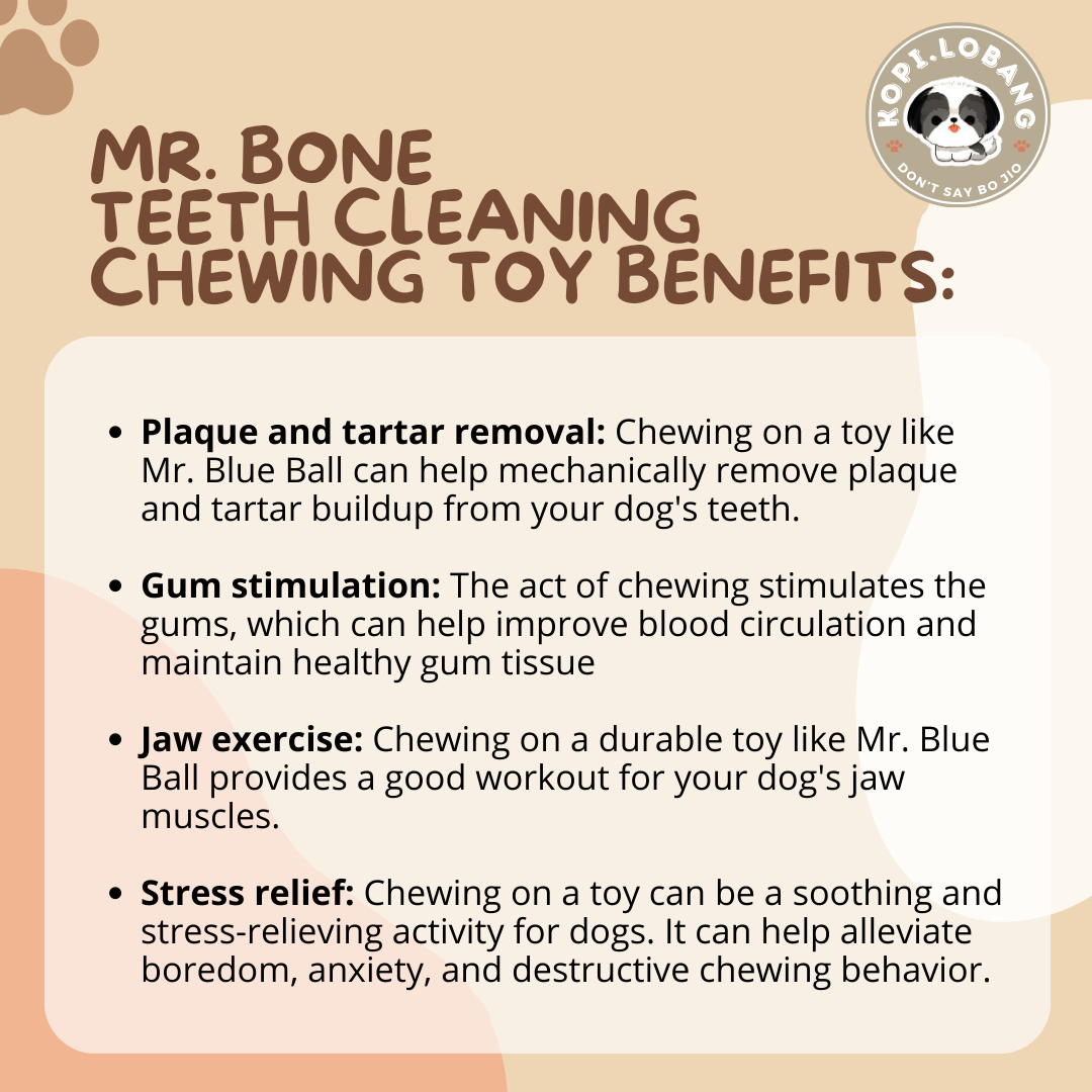 ✅[SG] MR. BONE TEETH CLEANING CHEWING TOY ★ Dental Hygiene Training ★ FREE Enrichment Tips & Ideas e-Guide Worth $7 ★ Enrichment ★ SG Stock ★ Kopi Lobang