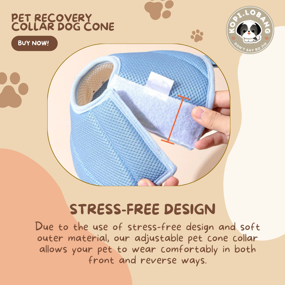 ✅[SG] [FAST SHIPPING] PET CONE COLLAR RECOVERY For Dog Cat ★ FREE Enrichment Tips & Ideas e-Guide  Worth $7  ★ SG Stock ★ Kopi.Lobang