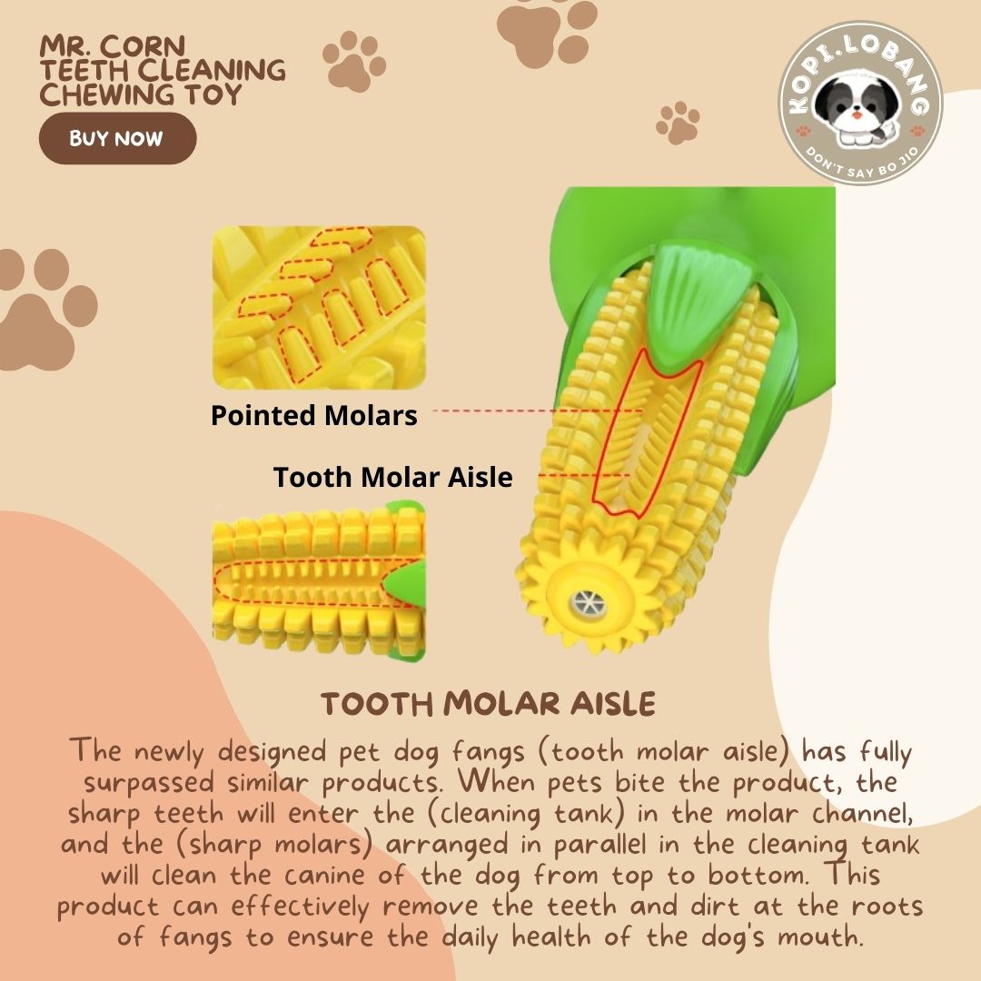 ✅[SG] MR. CORN TEETH CLEANING CHEWING TOY ★ Dental Hygiene Training ★ FREE Enrichment Tips & Ideas e-Guide Worth $7 ★ Enrichment ★ SG Stock ★ Kopi Lobang