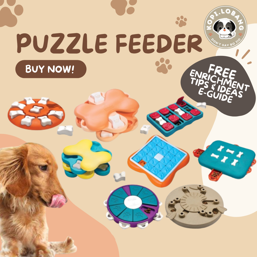 ✅[SG] MR PUZZLE & BRAIN TRAINING GAMES FEEDER ★ FREE Enrichment Tips & Ideas e-Guide Worth $7★ SG Stock ★ Kopi Lobang ★ For Dog Cat ★ Perfect for Gift