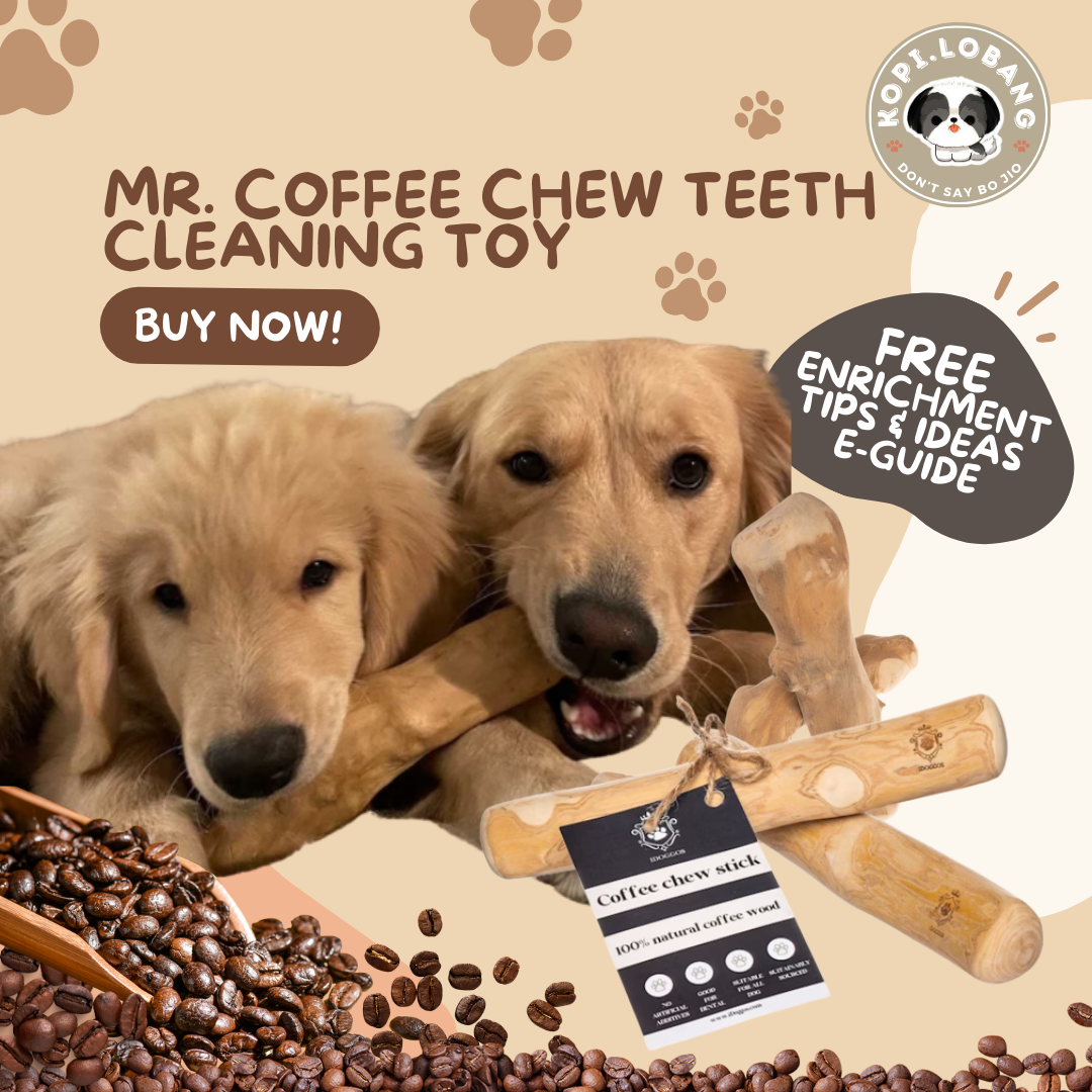 ✅[SG] MR. COFFEE CHEW TEETH CLEANING TOY ★ Dental Hygiene Training ★  FREE Enrichment Tips & Ideas e-Guide Worth $7 ★ Enrichment ★ SG Stock 