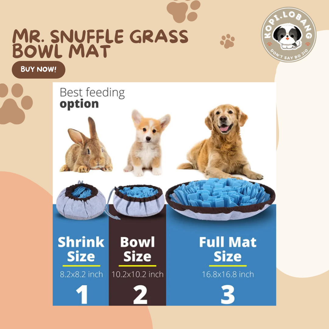 ✅[SG] MR. SNUFFLE GRASS BOWL MAT ★ Nosework Training ★ FREE Enrichment Tips & Ideas e-Guide  Worth $7  ★ Enrichment ★ SG Stock ★ Kopi Lobang