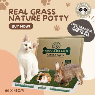 ✅[SG] 6 MONTHS (12 DELIVERIES) REAL GRASS NATURE POTTY ★ FREE Training e-Guide Worth $7 ★ SG Stock ★ Kopi Lobang ★ Perfect for Gift